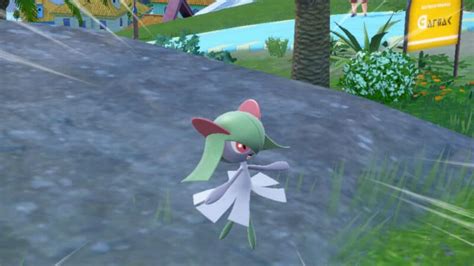 ralts best nature.